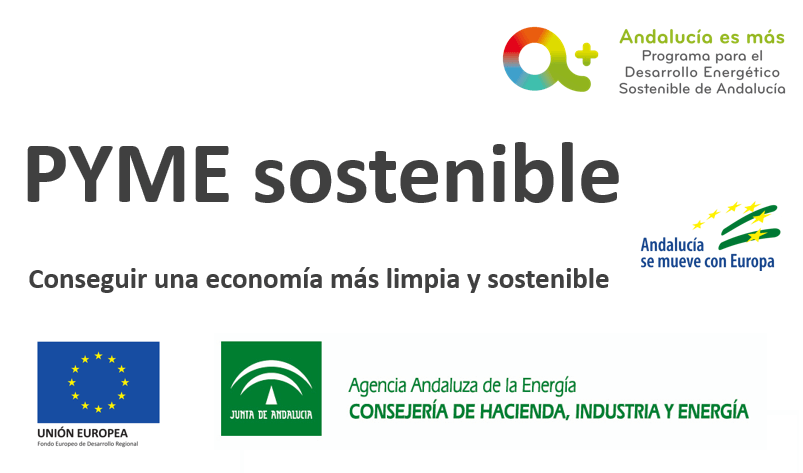Pyme Sostenible - Conseguir una economía más limpia y sostenible